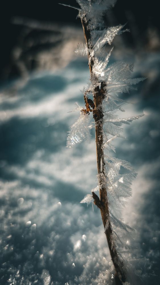 Photograph by Наталия Короленко