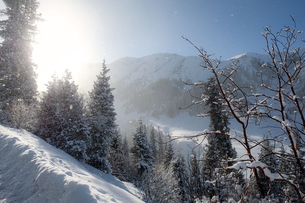 Photograph by Алексей Баженов