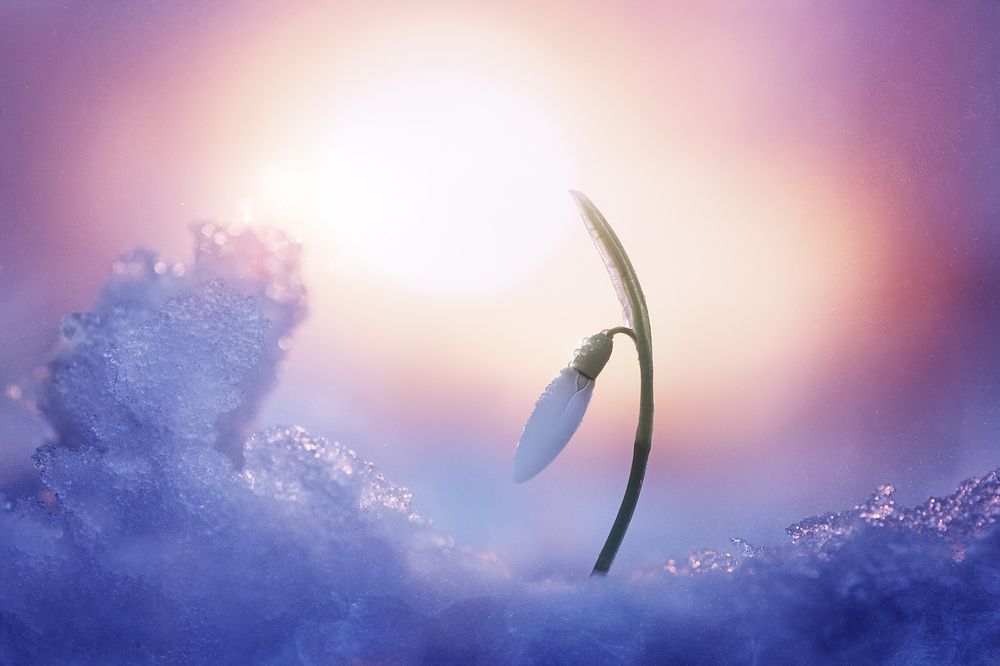 Photograph by Чорный Александр