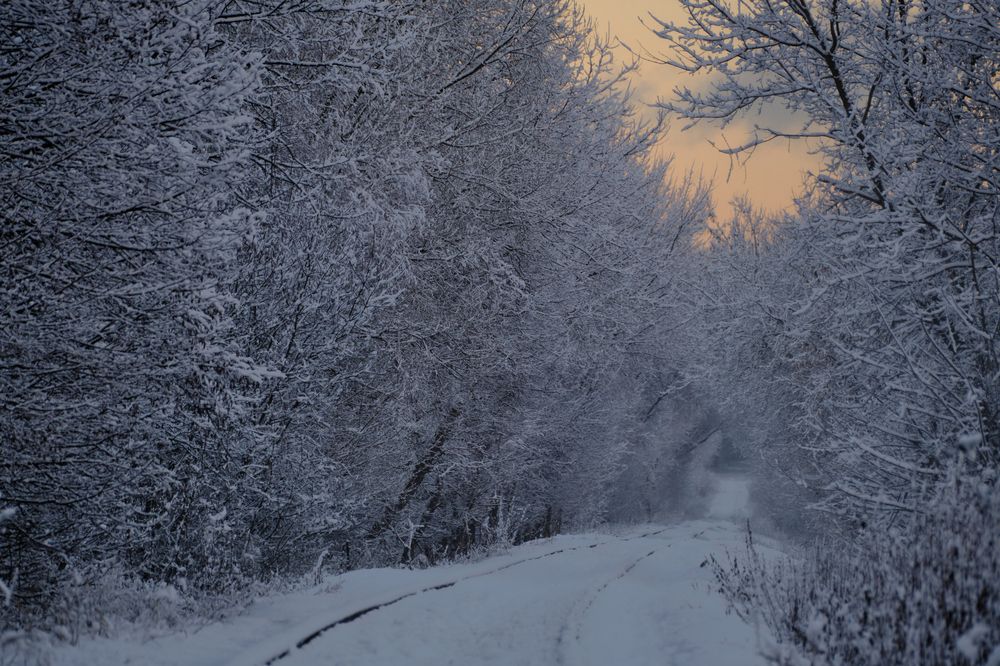 Photograph by Василий Арлашов