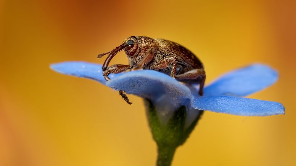 Photograph by Людмила Железнова