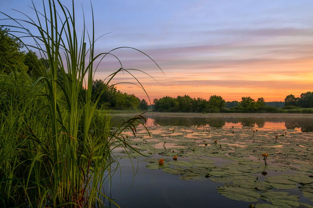 Photograph by Александр Строков