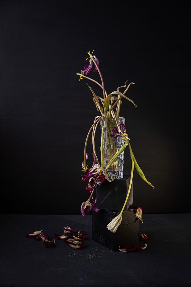 Photograph by Светлана Кавказская