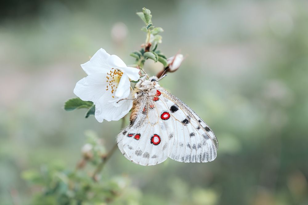 Photograph by Алексей Баженов