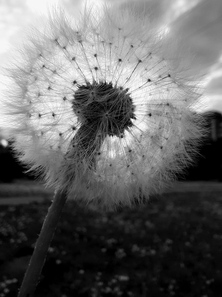 Photograph by Ирина Лукашова