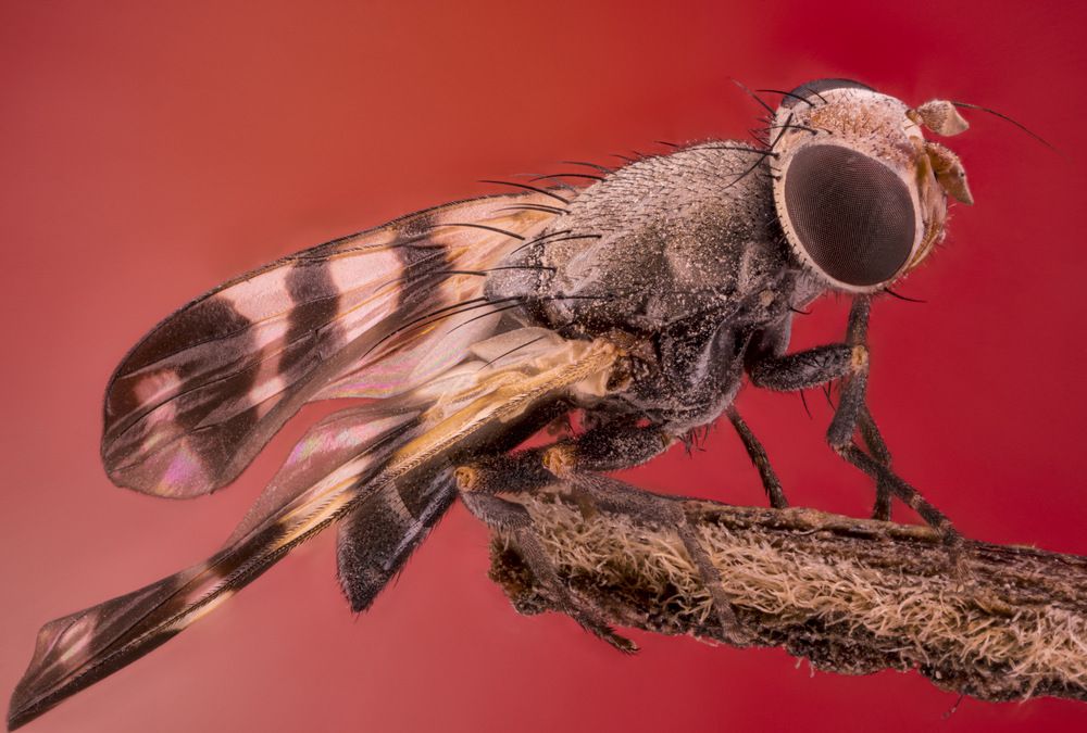 Photograph by Сергей Солобчук