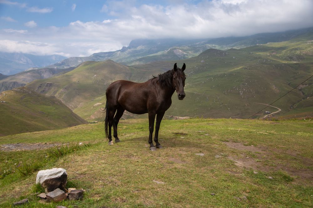 Photograph by Ольга Шуть