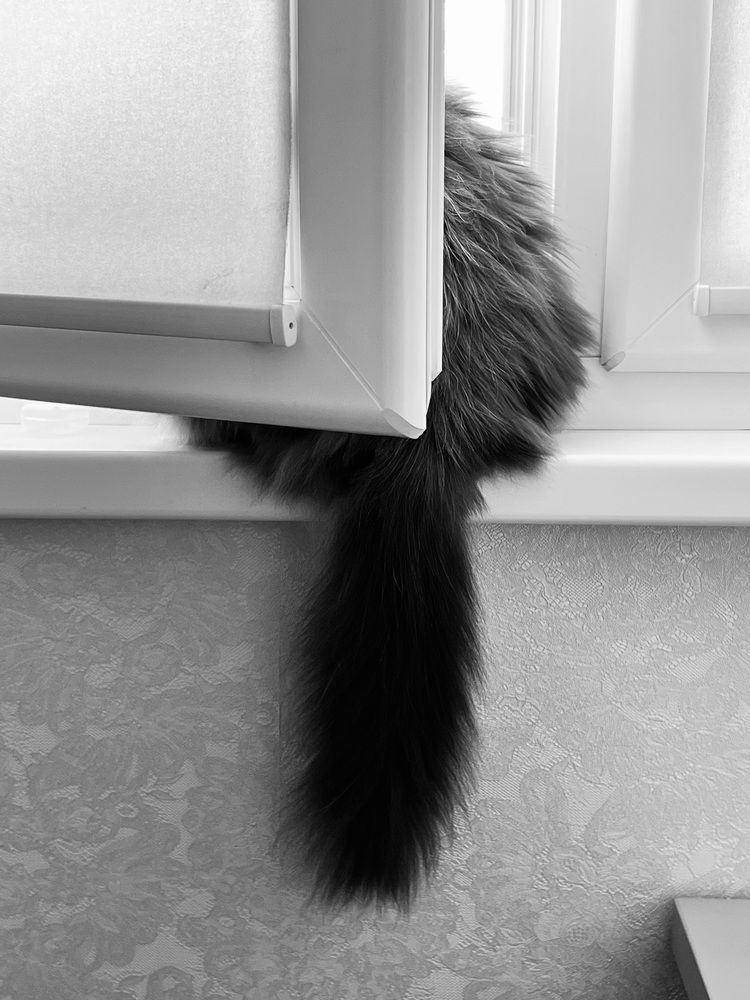 Photograph by Петр Максимов