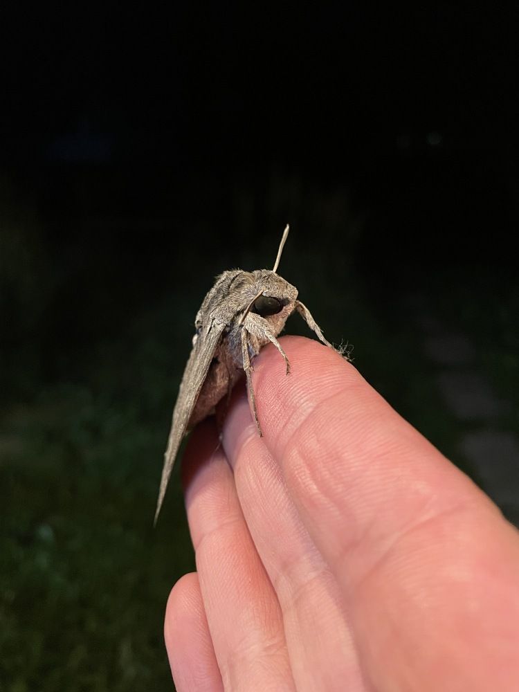 Photograph by Лисовой Максим