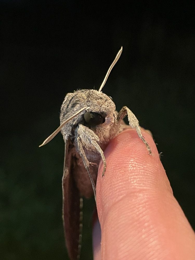 Photograph by Лисовой Максим