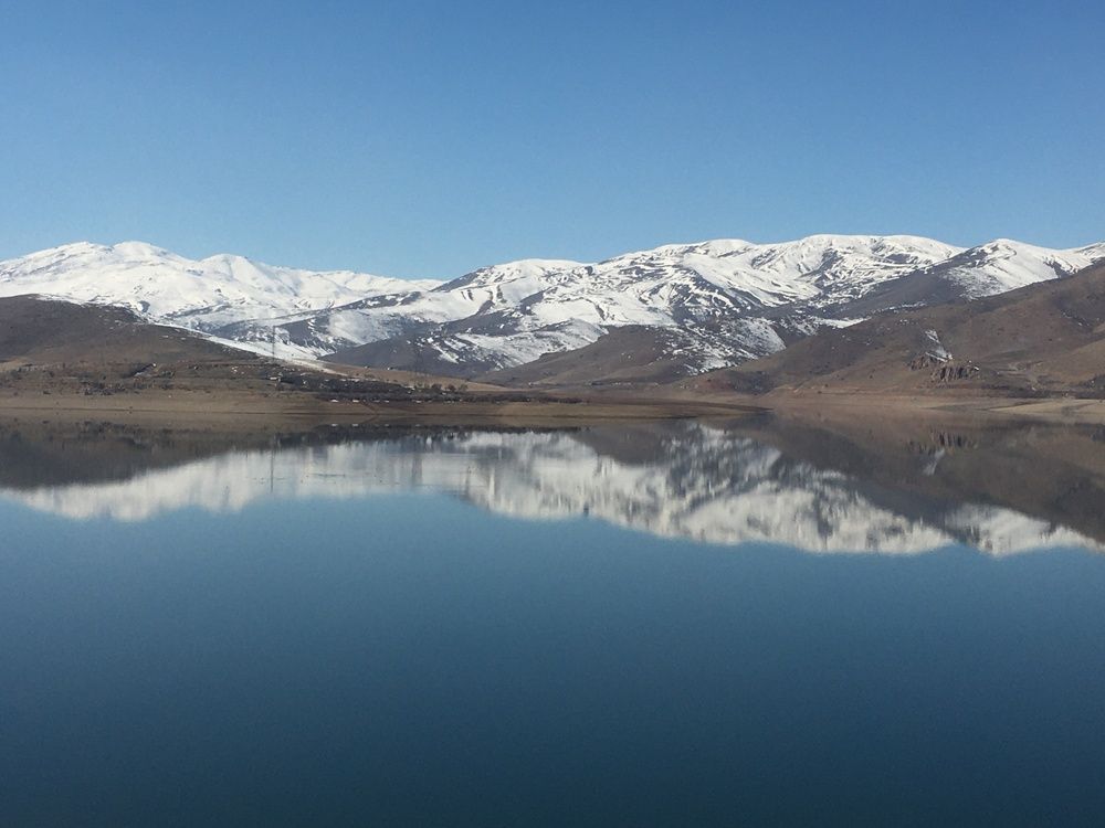 Фотография автора آرمان داودی