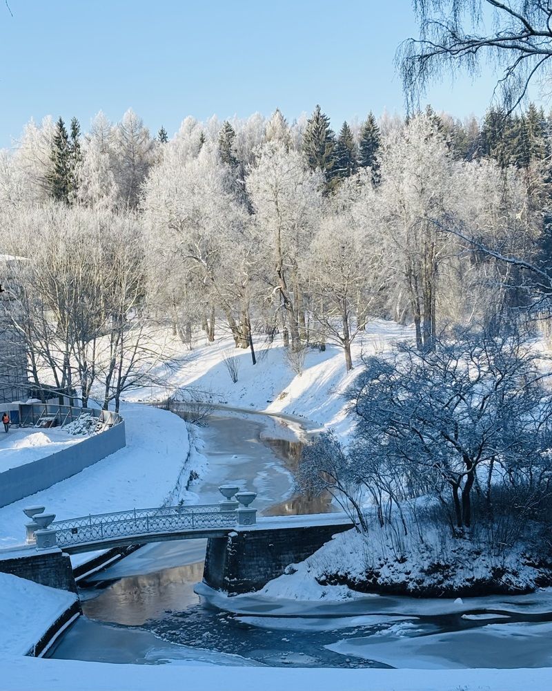 Photograph by Титаренко Людмила