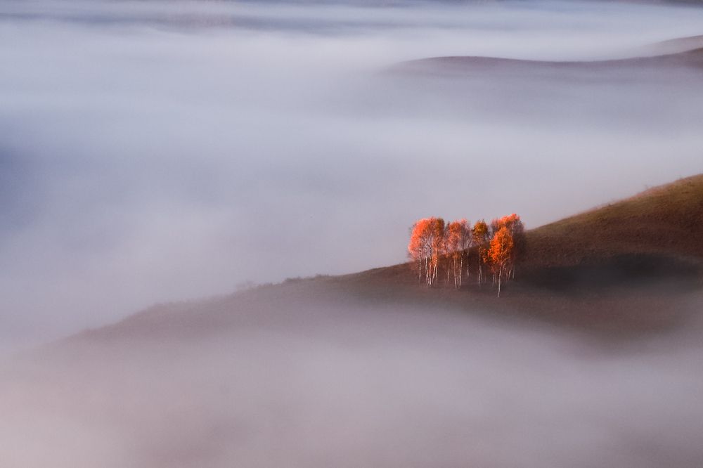 Фотография автора Flegner Calin