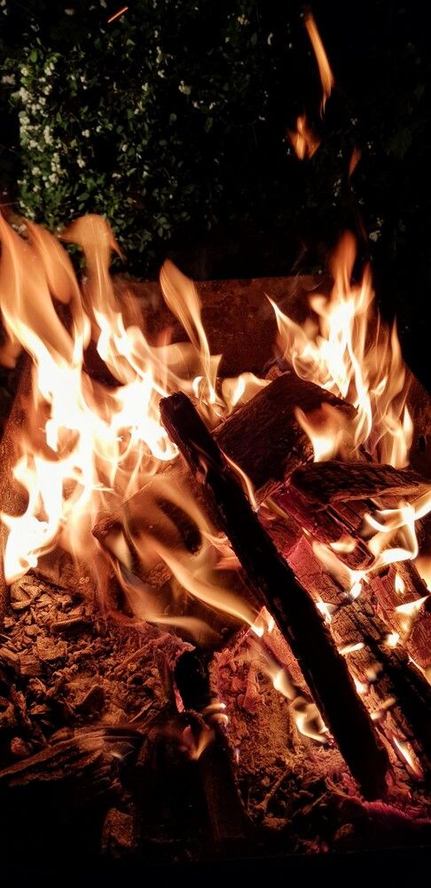 Photograph by Лидия Лащева