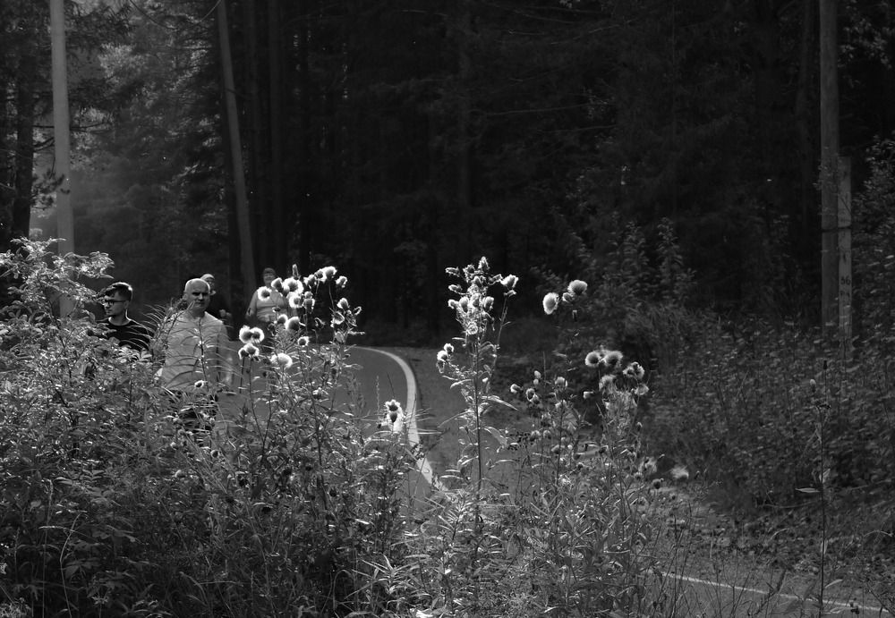 Photograph by Валерий Алфимов