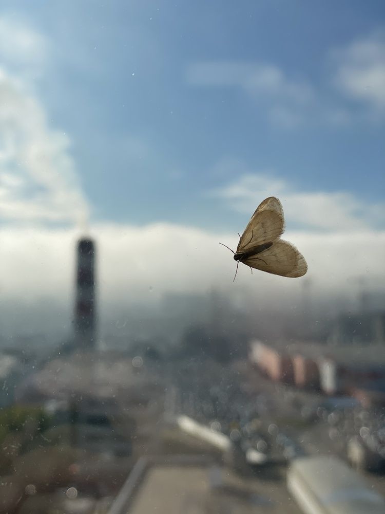 Photograph by Лисовой Максим