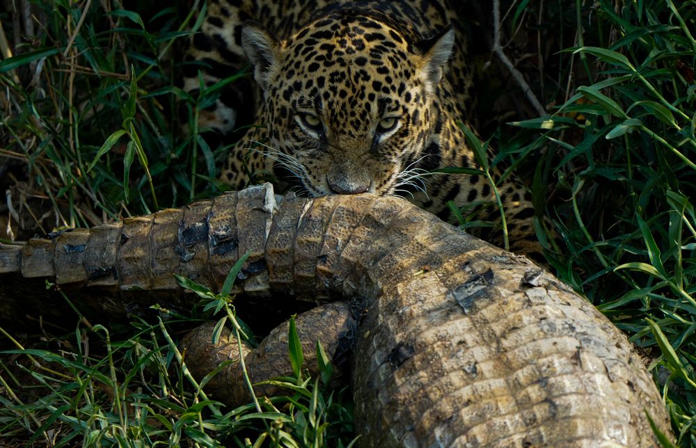 Photograph by Lena Hanten