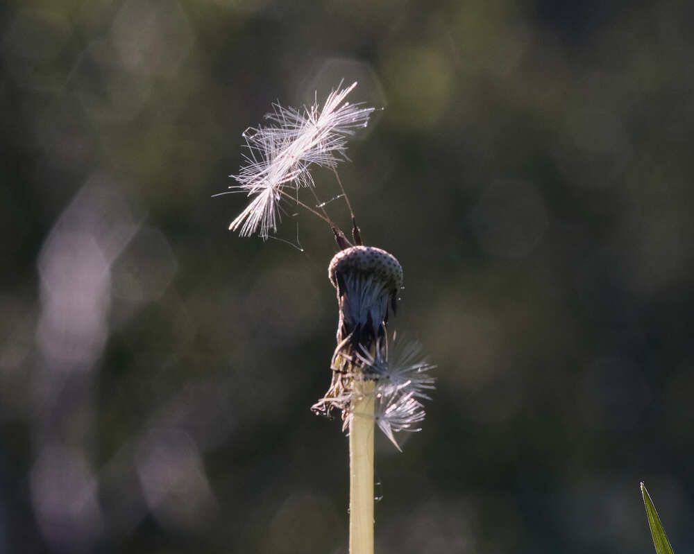 Диалектика