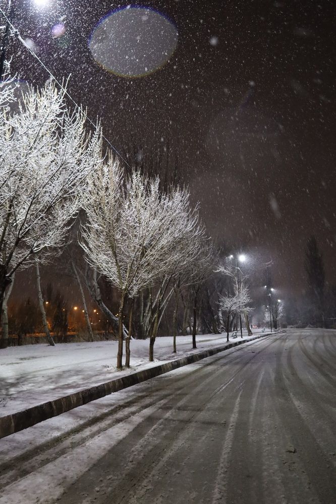 Фотография автора آرمان داودی