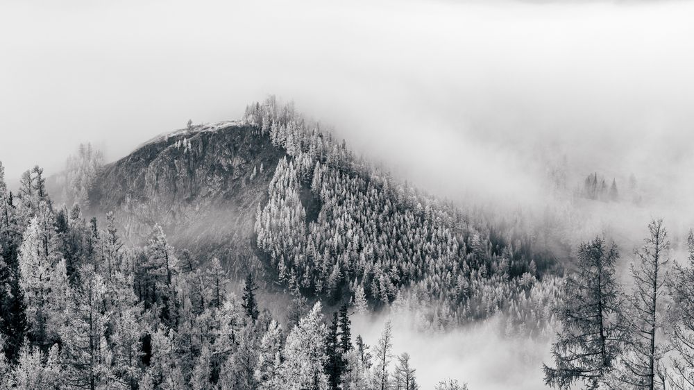 Photograph by Devender Mark