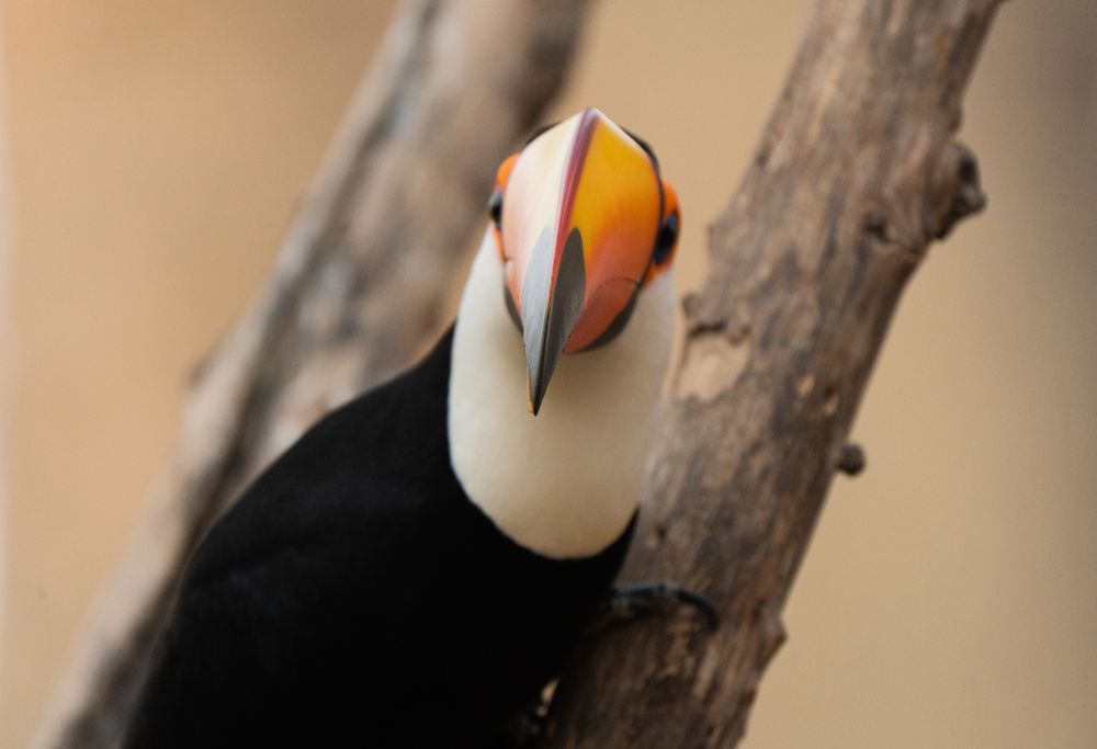 Photograph by Lena Hanten