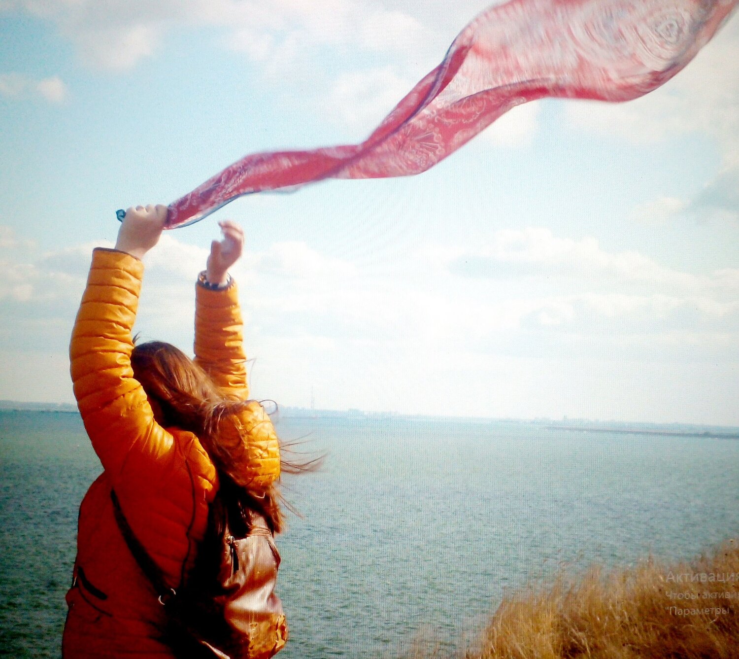 Photo #11995754