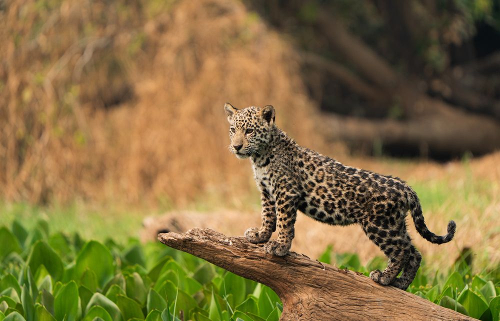 Photograph by Lena Hanten