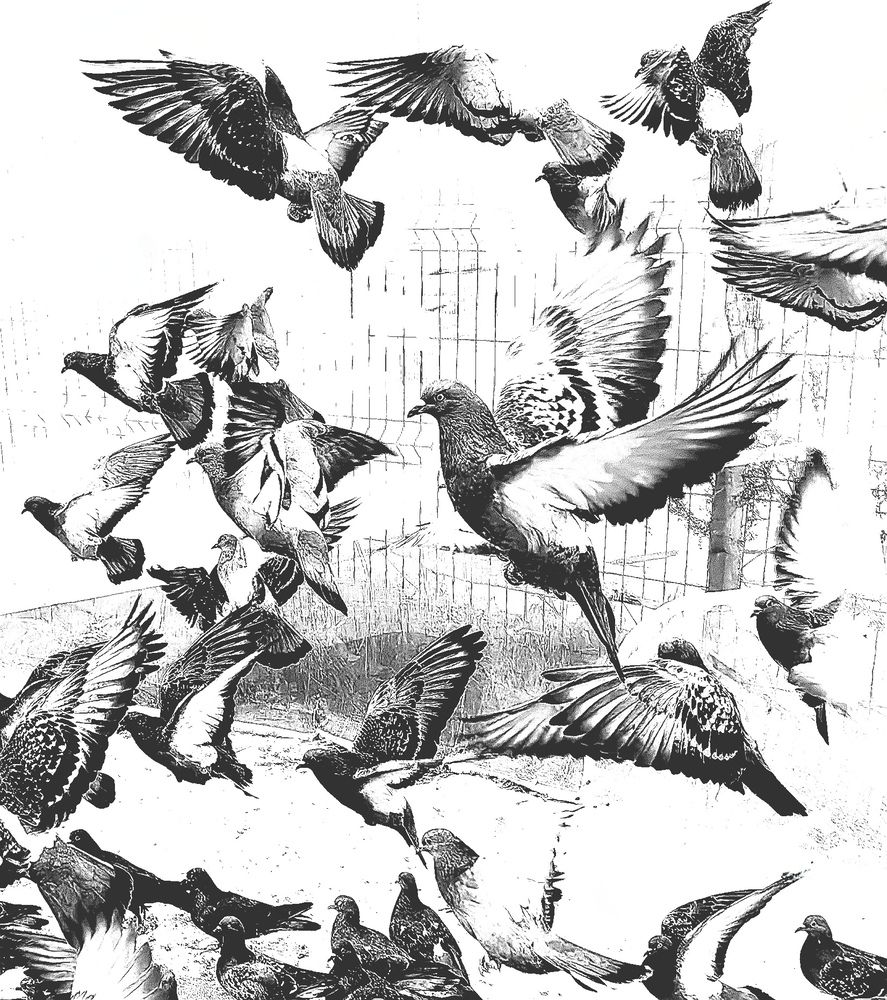 Фотография автора Olga Golubkova