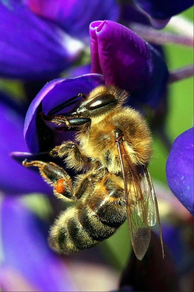 Photograph by Свиденцов Михаил