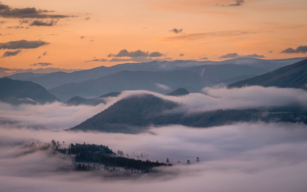 Фотография автора Devender Mark