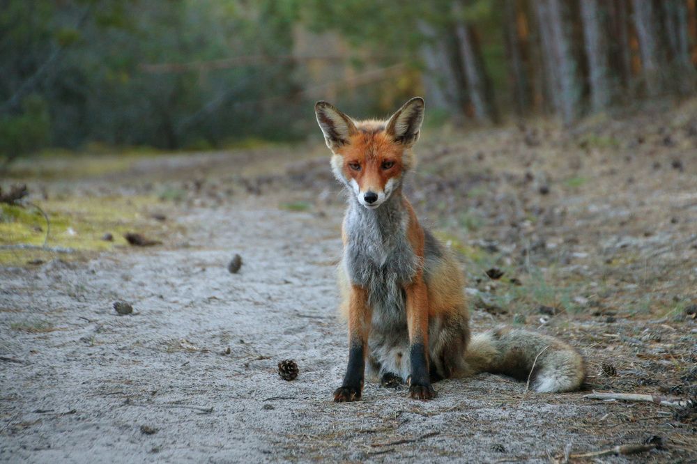 Photograph by Владимир Петрукович