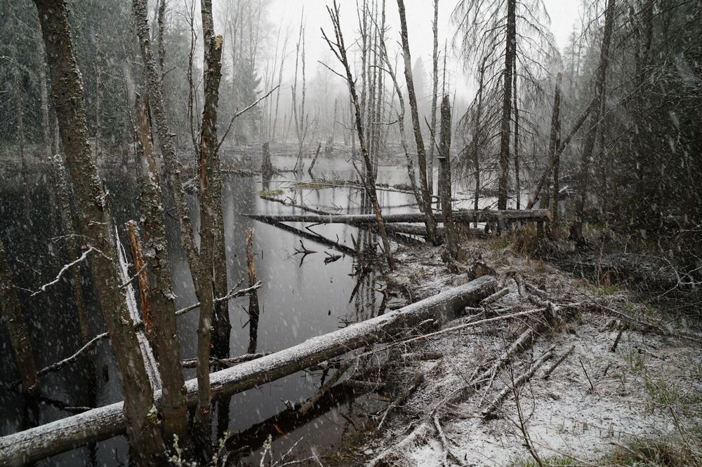 Photograph by Ольга Аристова