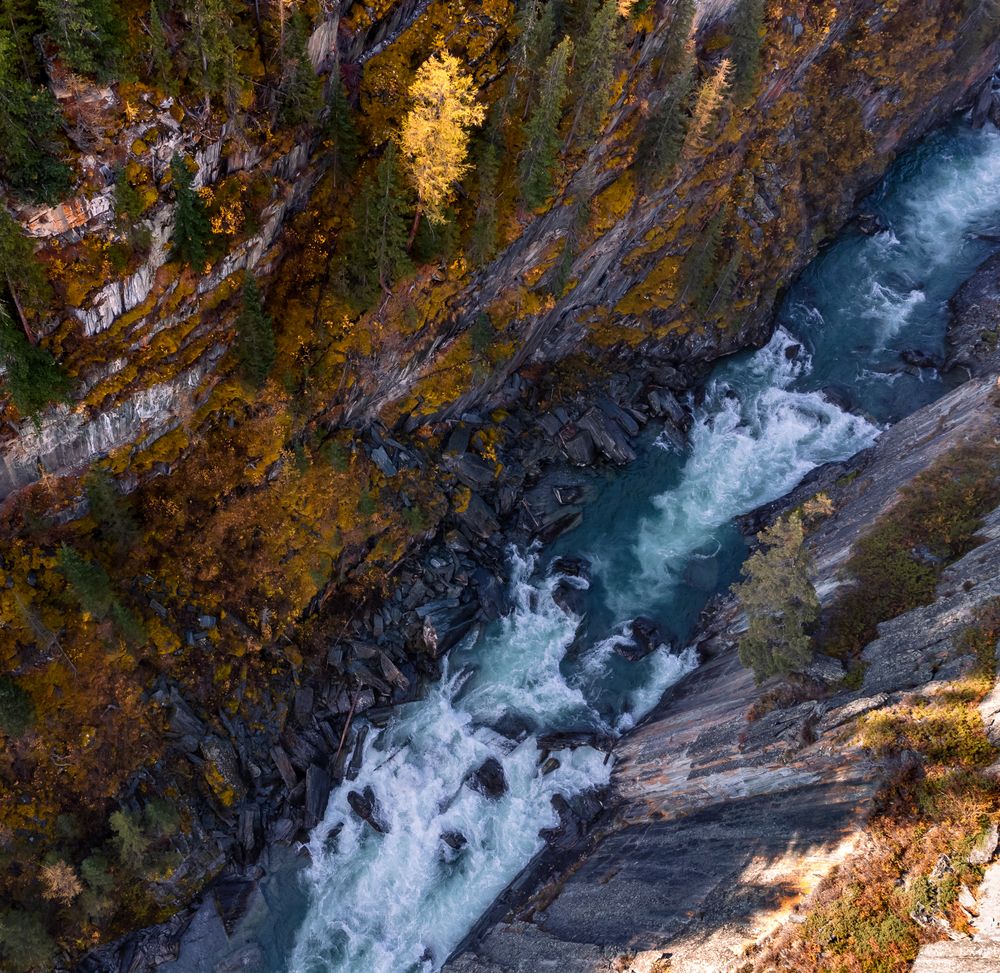 Photograph by Devender Mark