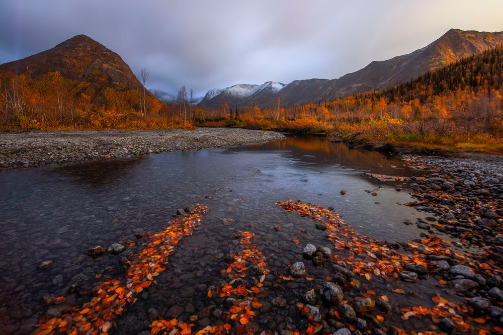 Photograph by Парамонов Григорий