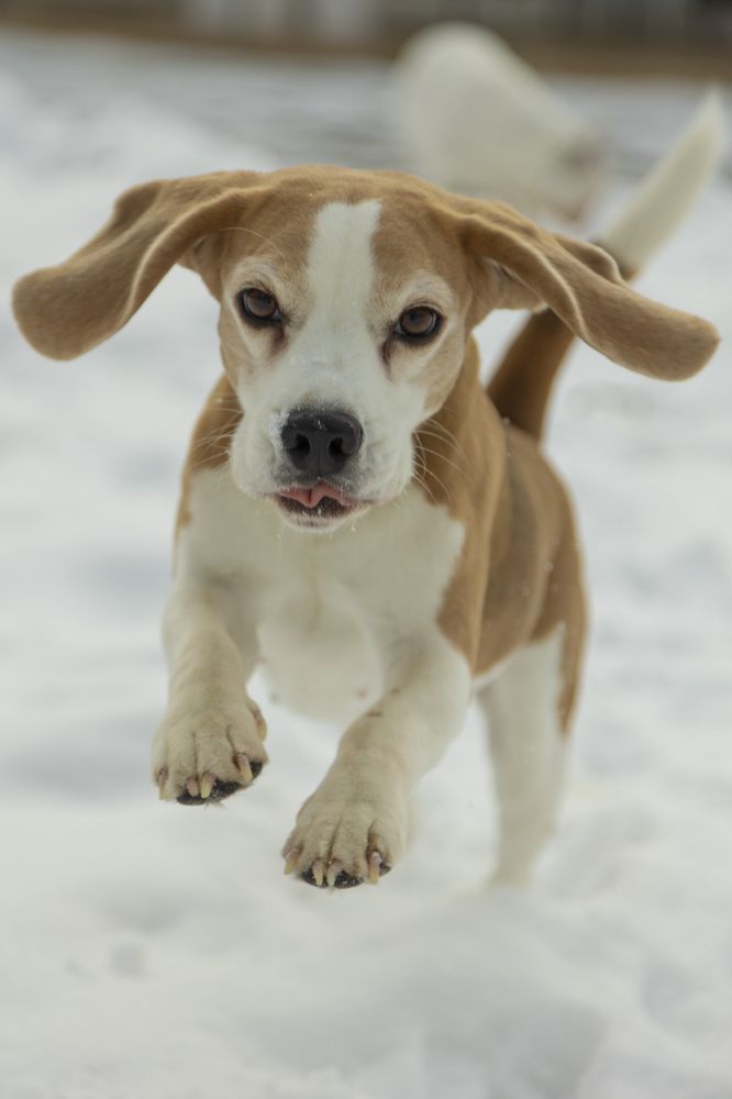 Photograph by Мария Кузьмина