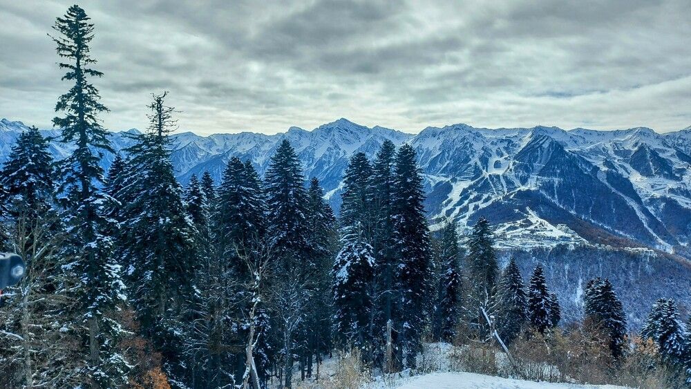 Photograph by Инесса Глухова