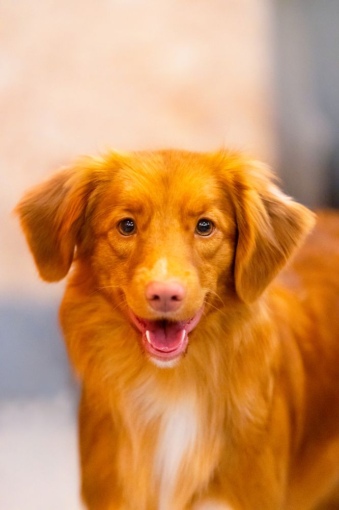 Photograph by Виолетта Бастет