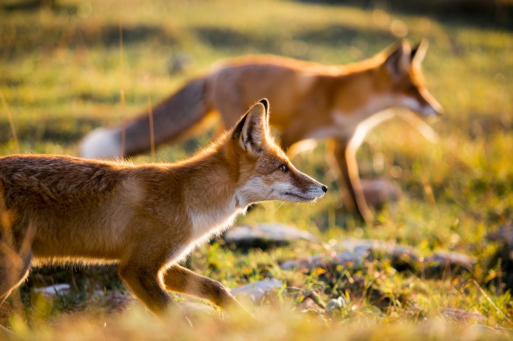 Photograph by Мария Раздорова