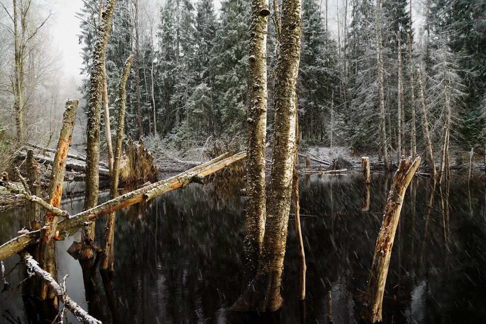 Photograph by Ольга Аристова