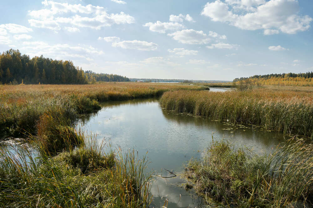 Ранняя осень