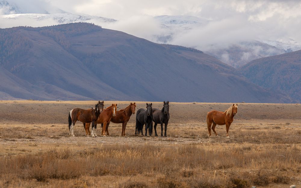 Photograph by Ирина Кудрина