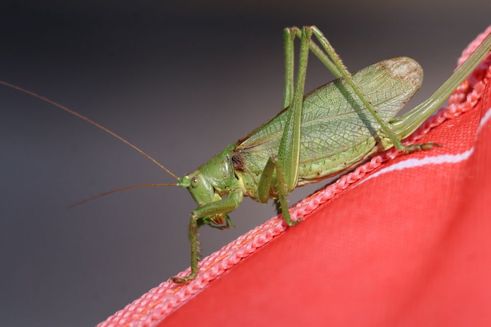 Photograph by Марина