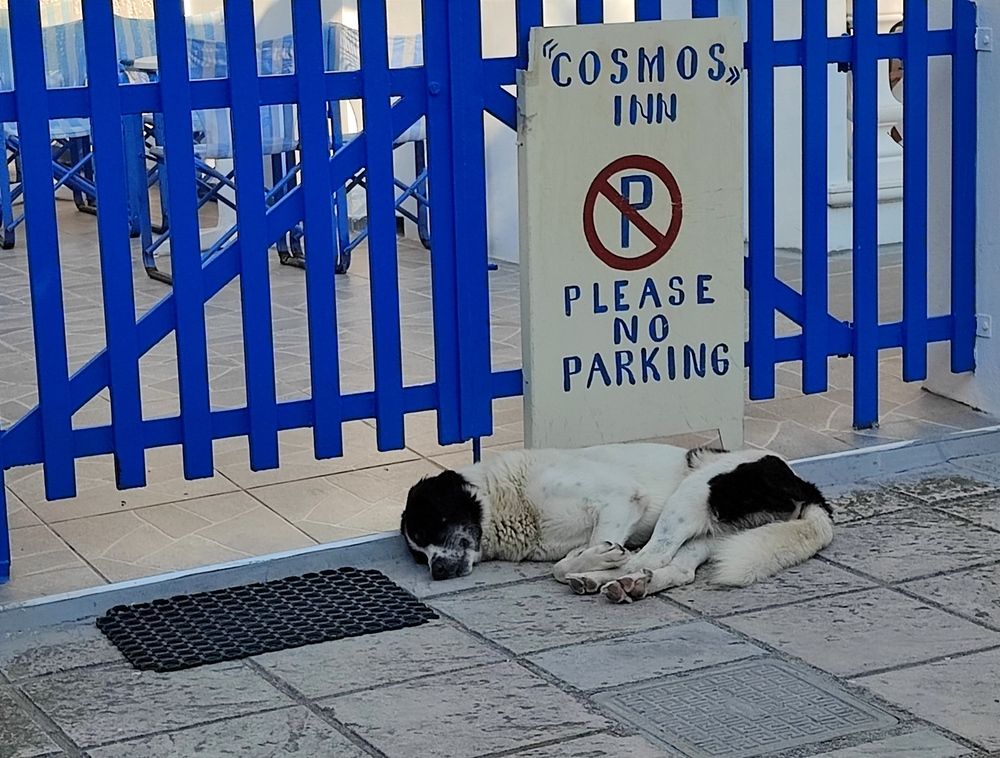 Photograph by Nadaškić Jasminka