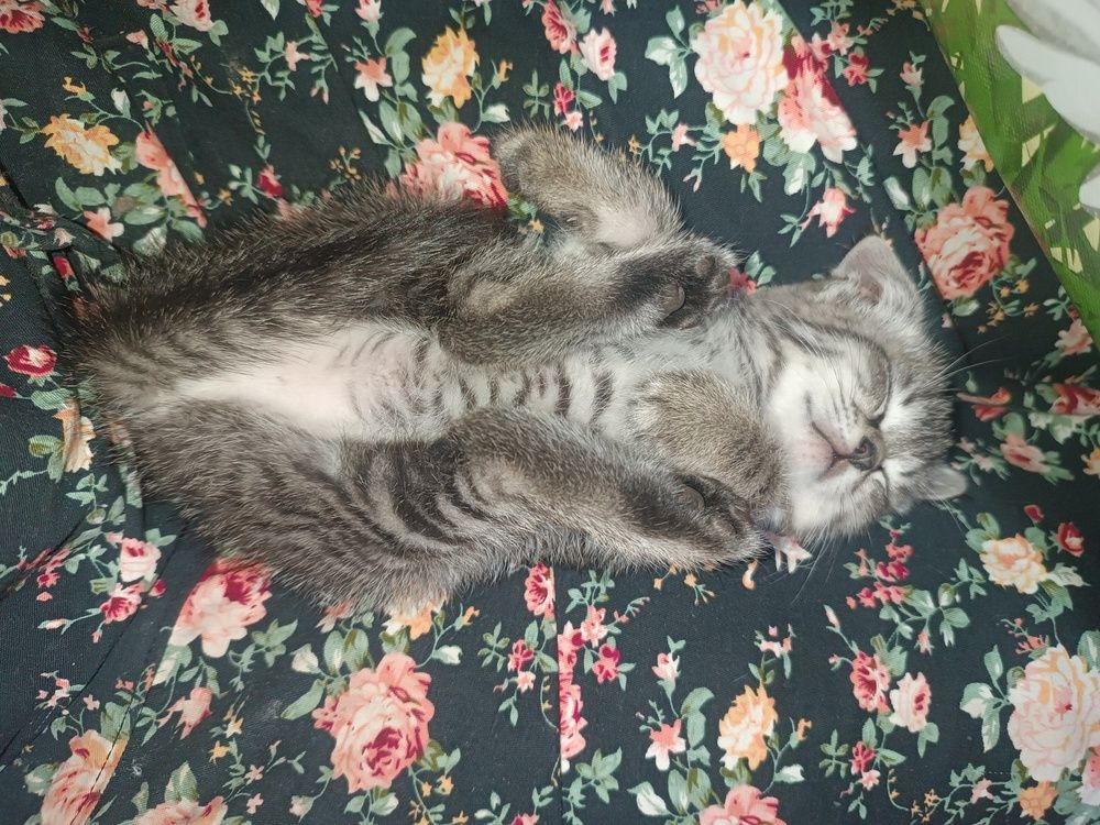 Photograph by Ангелина Воронцова