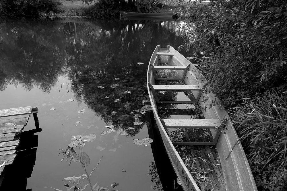 Photograph by Ольга Стоун