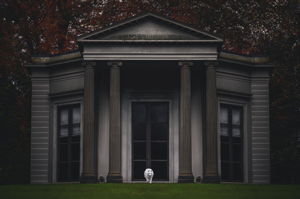 Фотография автора Rut Casanellas