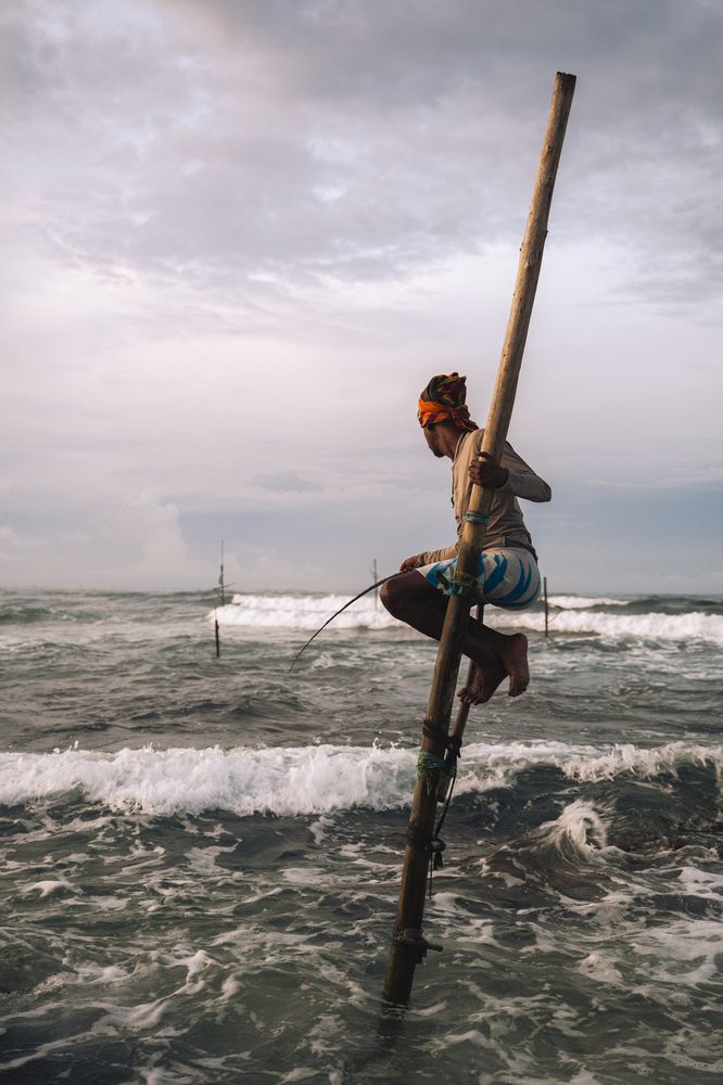 Фотография автора Kimia Shad