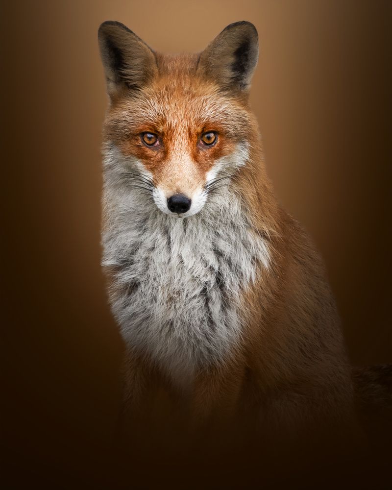 Photograph by Patryk George