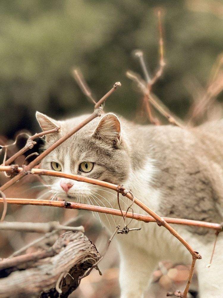 Photograph by anna bobo