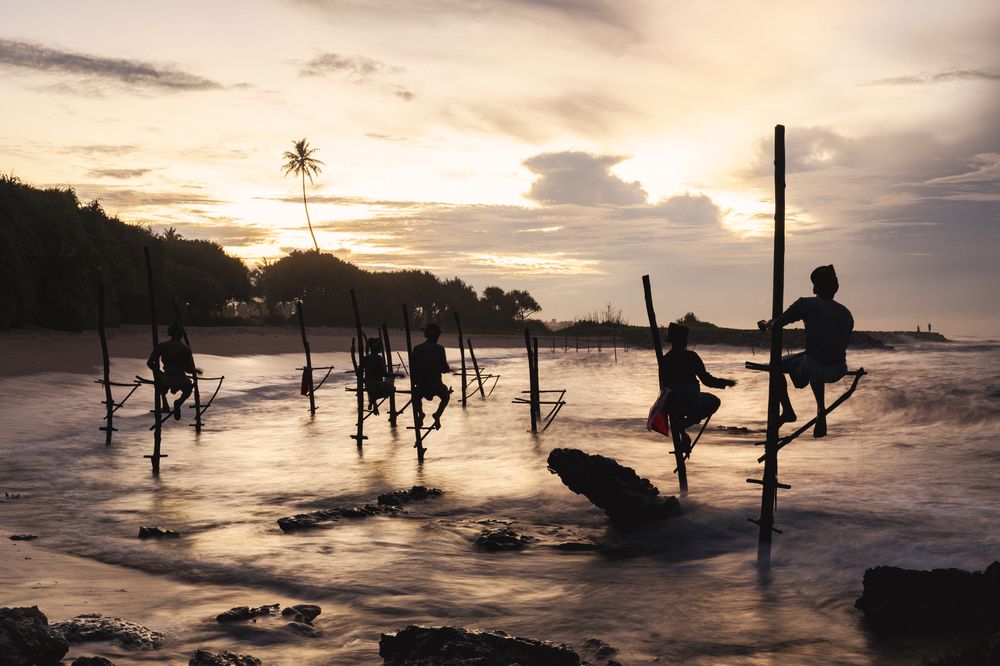 Фотография автора Kimia Shad